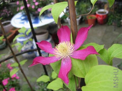 ��û�е�һ���󣬻���Ҳ�Ե���СЩ