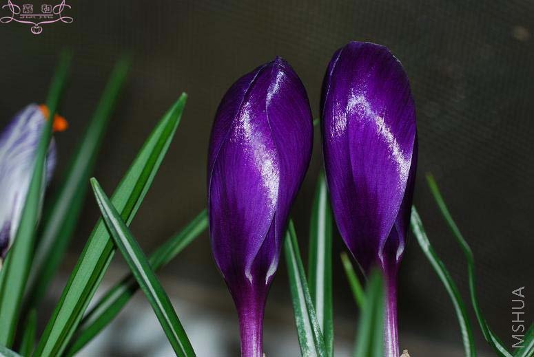 DSC_0092 ����.jpg