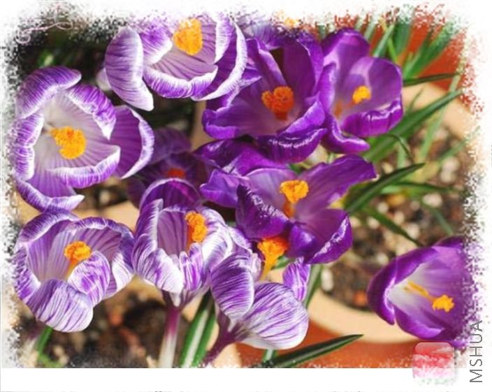 DSC_0123 ����.jpg