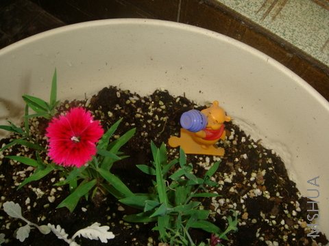 DSC02155.JPG