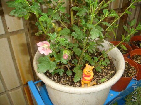 DSC02157.JPG