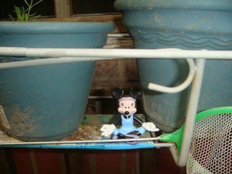 DSC02164.JPG