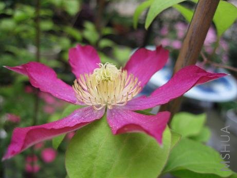 ����ĵڶ��λ����ˡ�