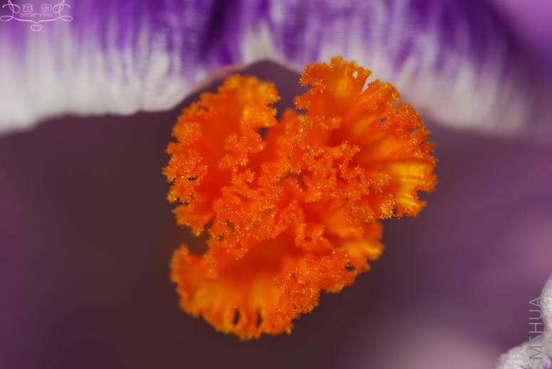 DSC_0116 ����.jpg