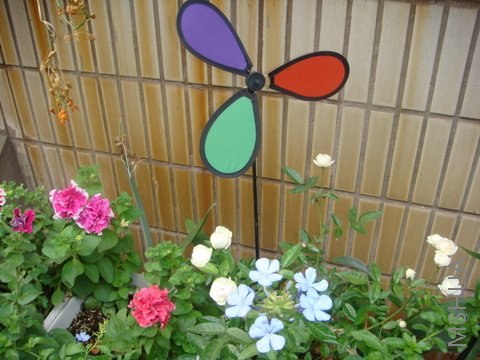 DSC02156.JPG