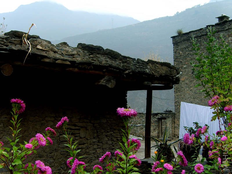 ��Щ��ɫ�������أ�