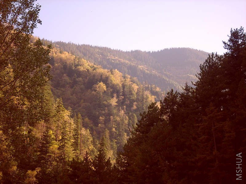 �����ĸ�ɽ���ְ��ڷ�