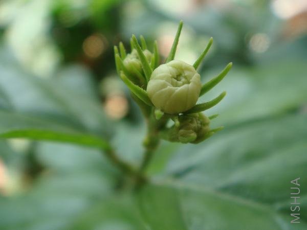 ��һ��������