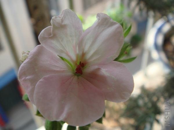 DSC04380.JPG