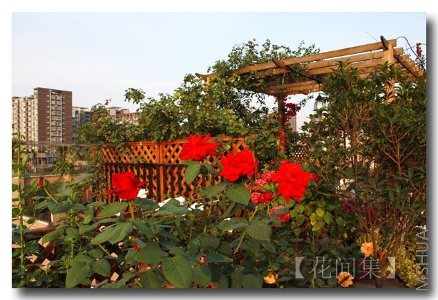 IMG_0393 ����.jpg