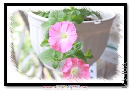 ��Ƭ 053.jpg