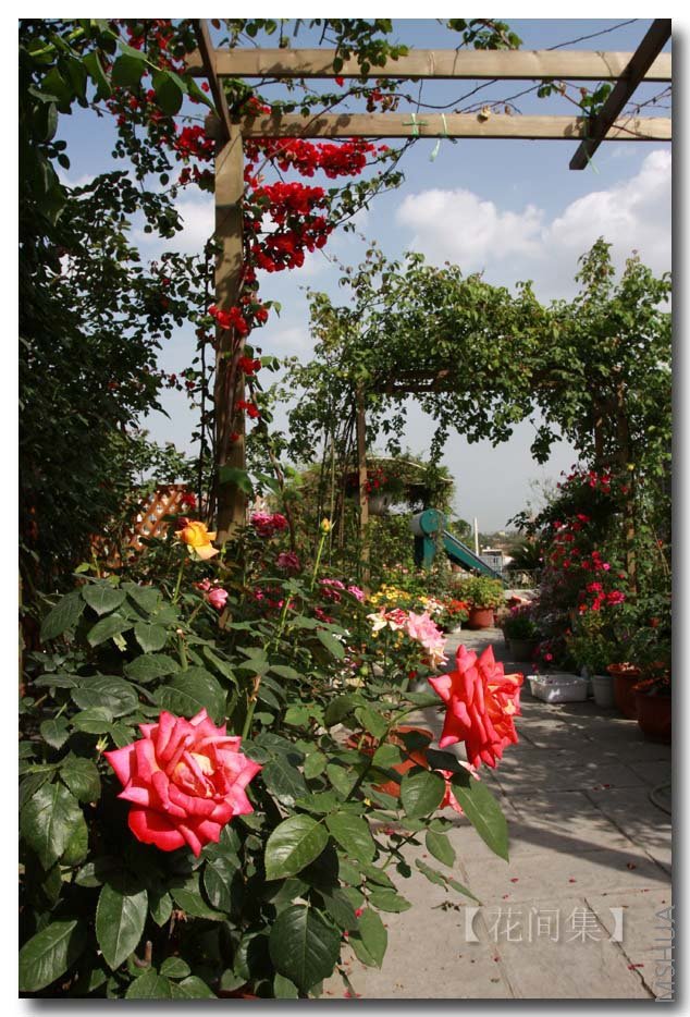 IMG_5610 ����.jpg