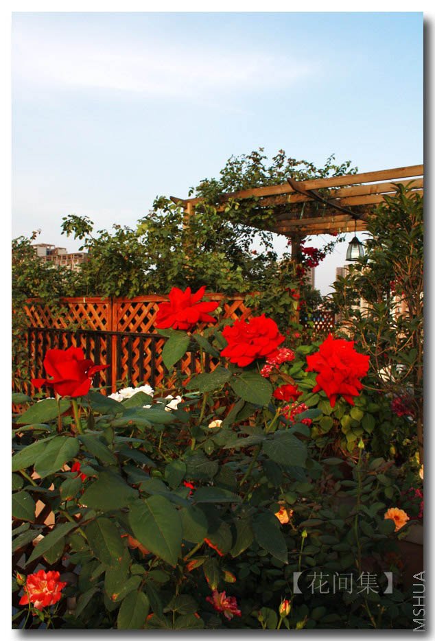 IMG_0394 ����.jpg