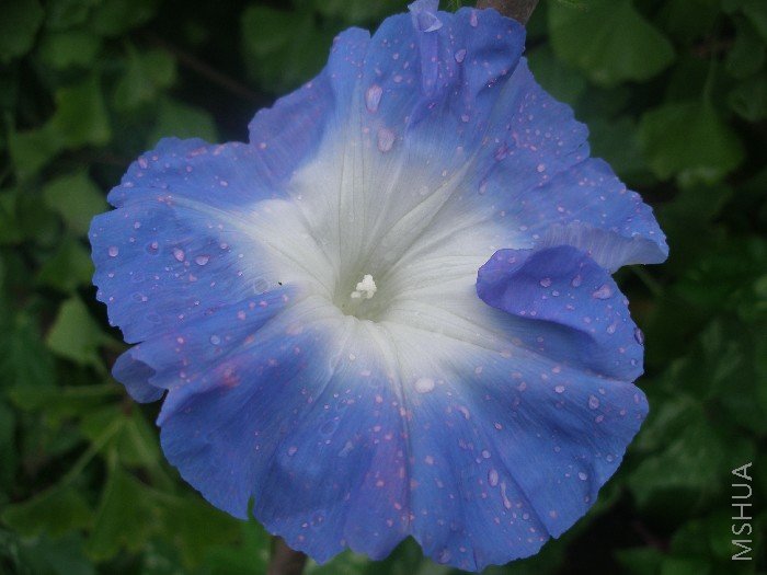 ��������ˮ�£���ʵ����֮��