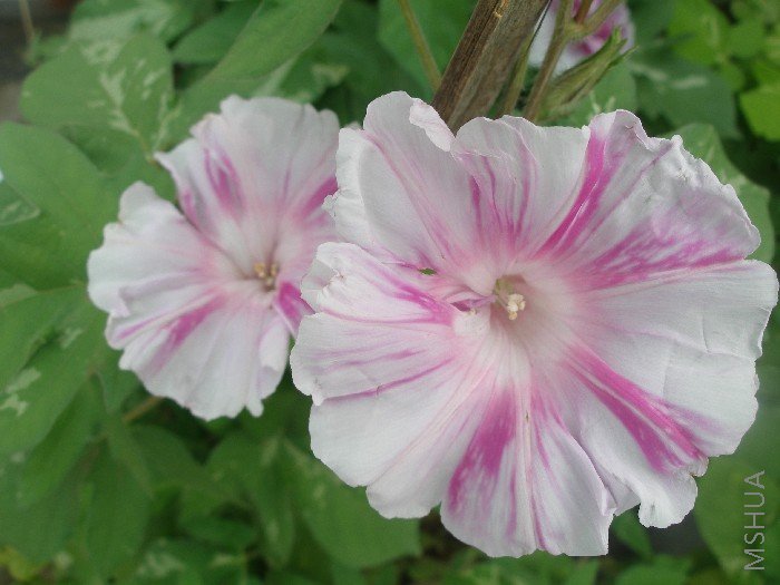 ������������