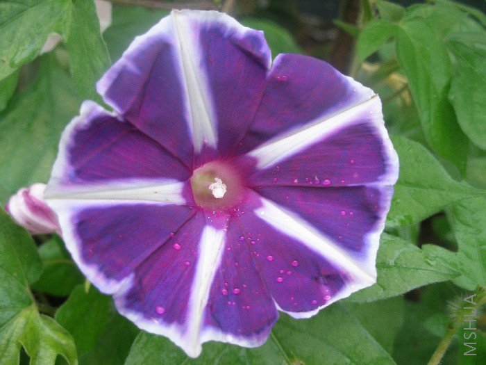 �������������װ�����