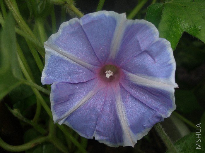 ��֪���ǵ��Ե�ԭ���������ԭ���������������