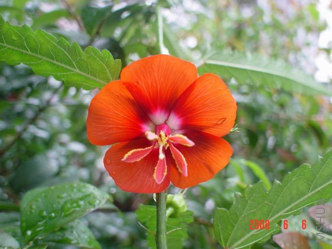 �����ĵ�