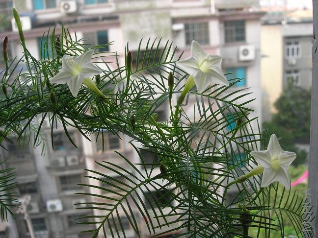 �е�ƫ�ƣ���֪�����ǵ��Ƿ�Ҳ����