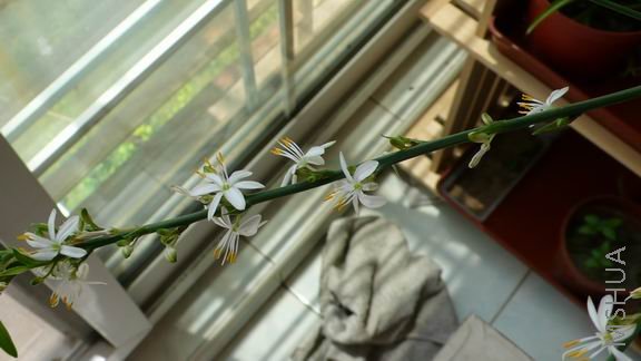 ������С ��Ƭ 066.jpg