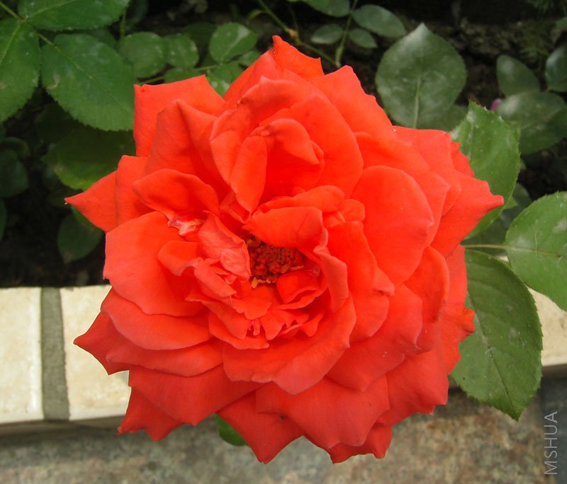 �¼�����ȫ��