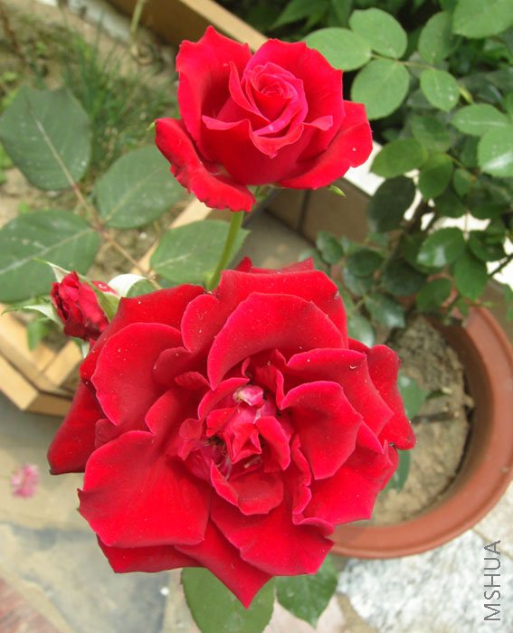 ����"��"�¼�