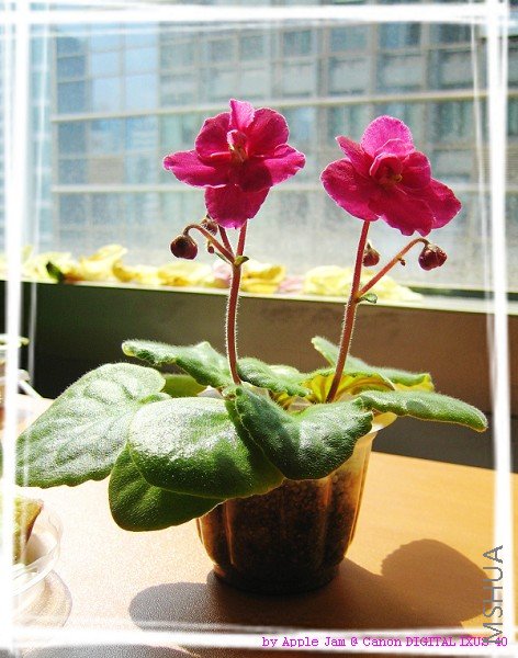 ����ʱ���ĵ�һ����