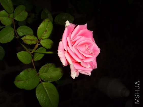 �Ƚ���ͨ�ķ��¼�~