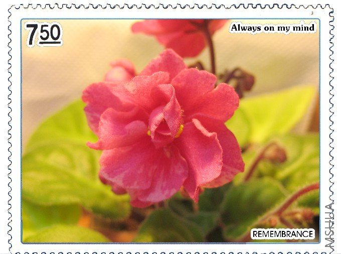 6���¿���