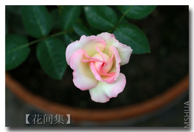 IMG_6459 ����.jpg