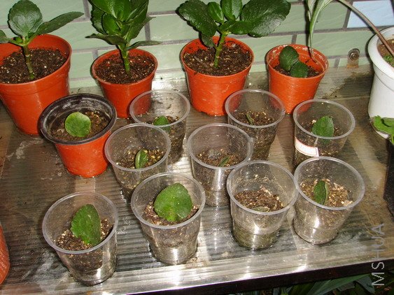 ����������~