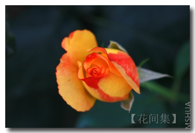 IMG_6202 ����.jpg