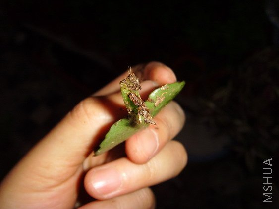 һ��������������