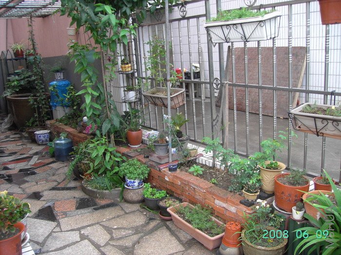 �ӳ��˶���̳