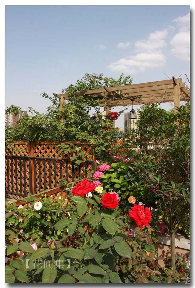 IMG_5605 ����.jpg