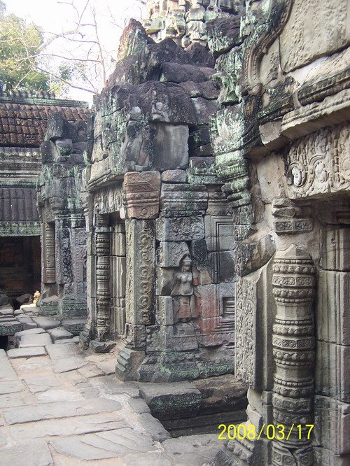 �����ĵ��