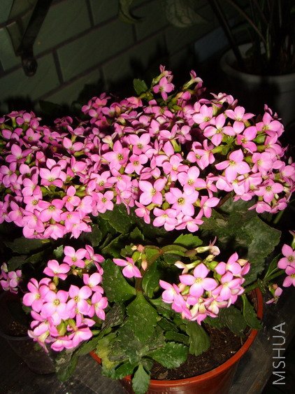 ��Ư����?��Ư����?������ʵ��ѷɫ���ذ�ѽ~