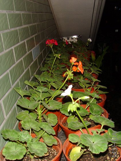 �ڴ���������ʱ��~