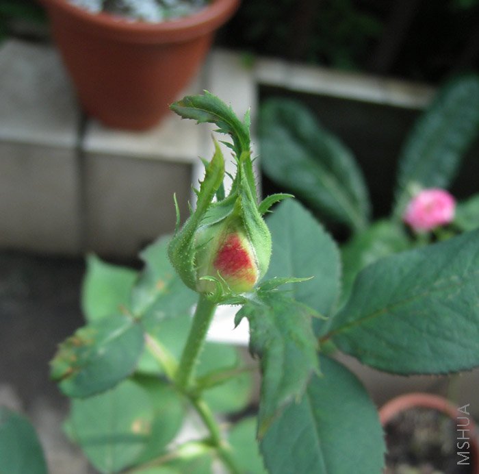 ����������