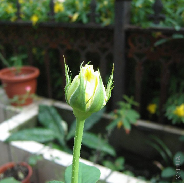 �����Ļ��¼�