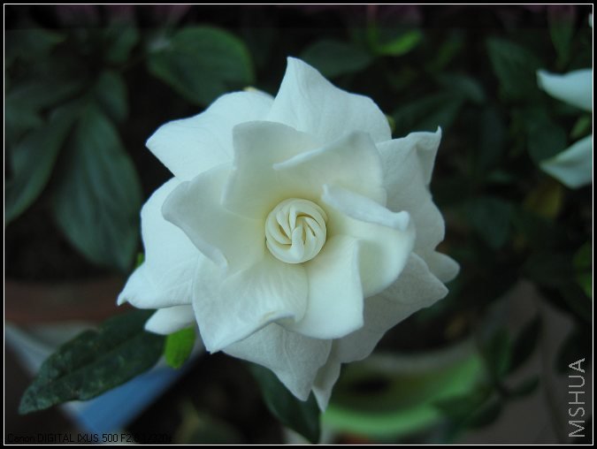 6��8�� 018.jpg