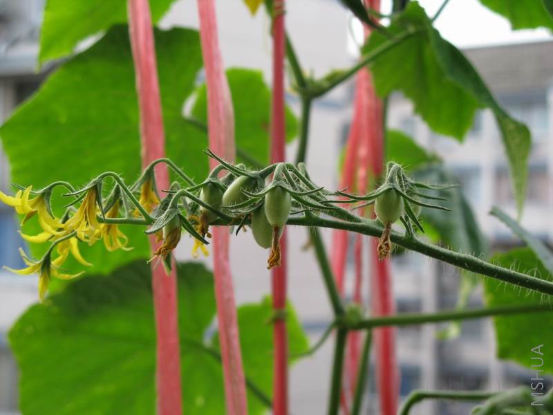 ������С ��Ƭ5 002.jpg