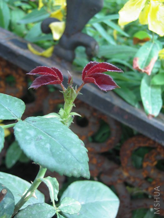 ����������