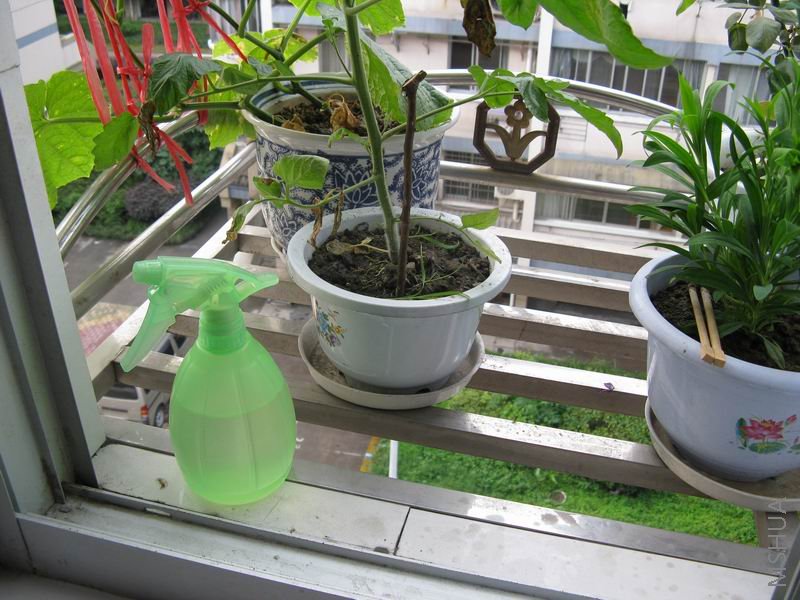 ������С ��Ƭ5 001.jpg