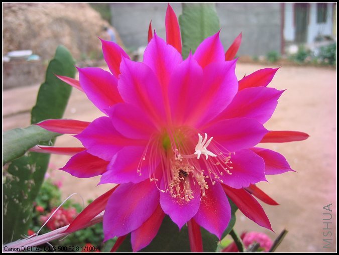 6��11������ɻ� 013~~.jpg