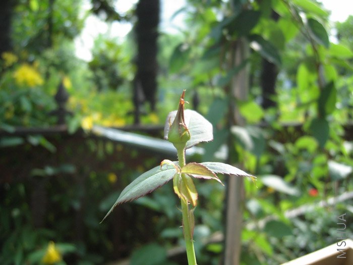 ����������