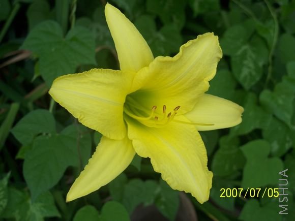 ����07��Ļ�