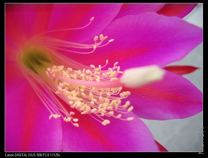 6��11������ɻ� 065~~.jpg