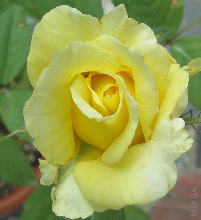 �����Ļ��¼�