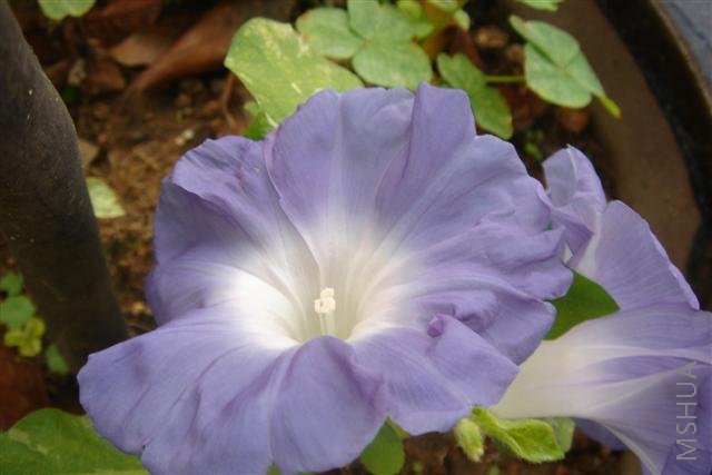 ��Ƭa 004 (С).jpg